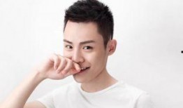 毛毛姐,揭秘网络红人的魅力与影响力